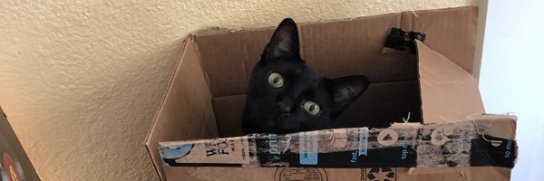 kwheat09 Profile Banner