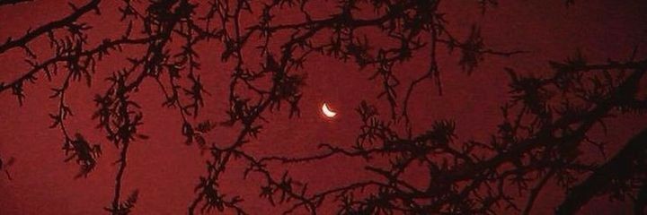 __Apollow's profile banner image