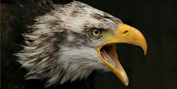 OzanM_'s profile banner image
