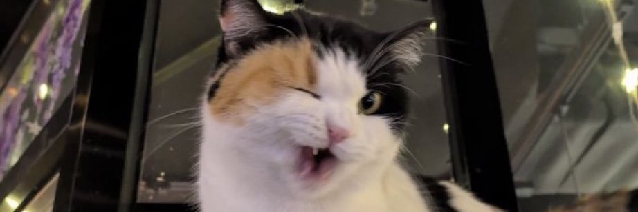 soreutonin's profile banner image