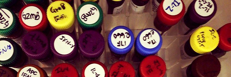 Benjamin Ulrich banner