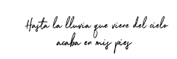 Brisa⚘️ banner