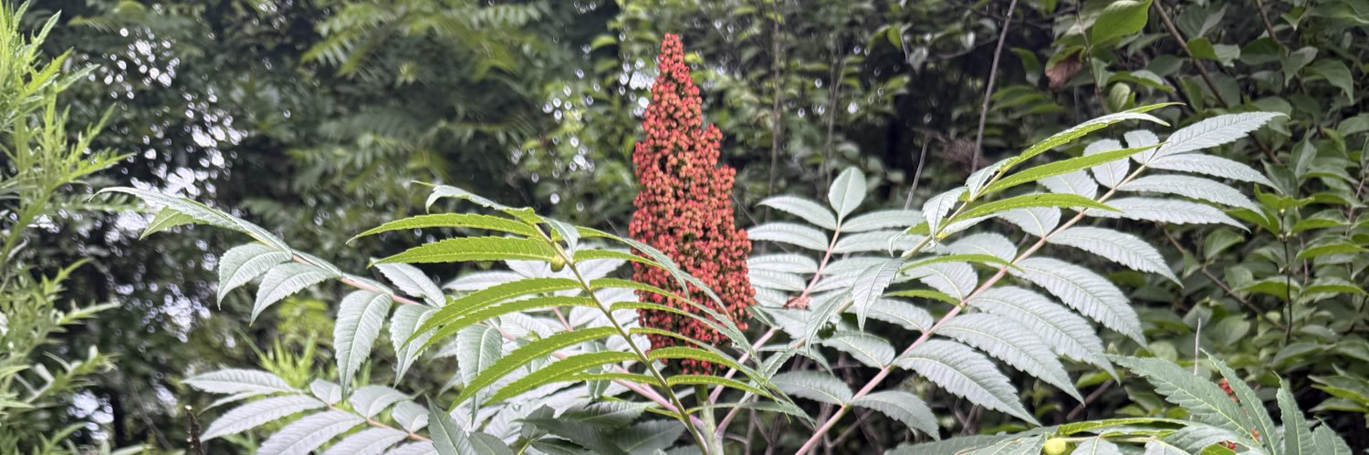 Jarod Richard banner