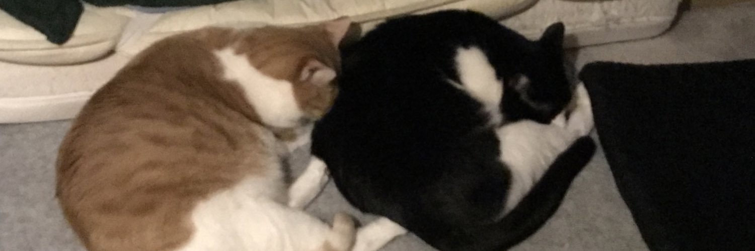 羝羊@猫と犬が好きな人 banner