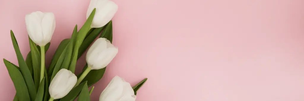 Fatima7lSabah's profile banner image