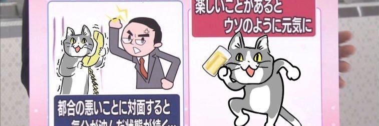 hirocologne's profile banner image