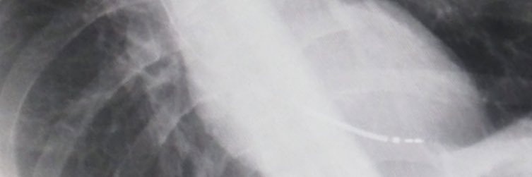lauralpzm's profile banner image