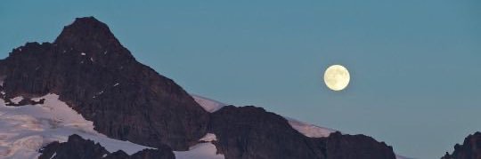 gothiccows's profile banner image