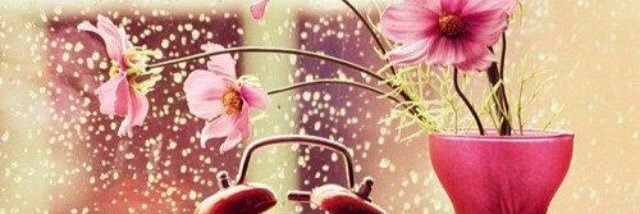 alamal00966's profile banner image