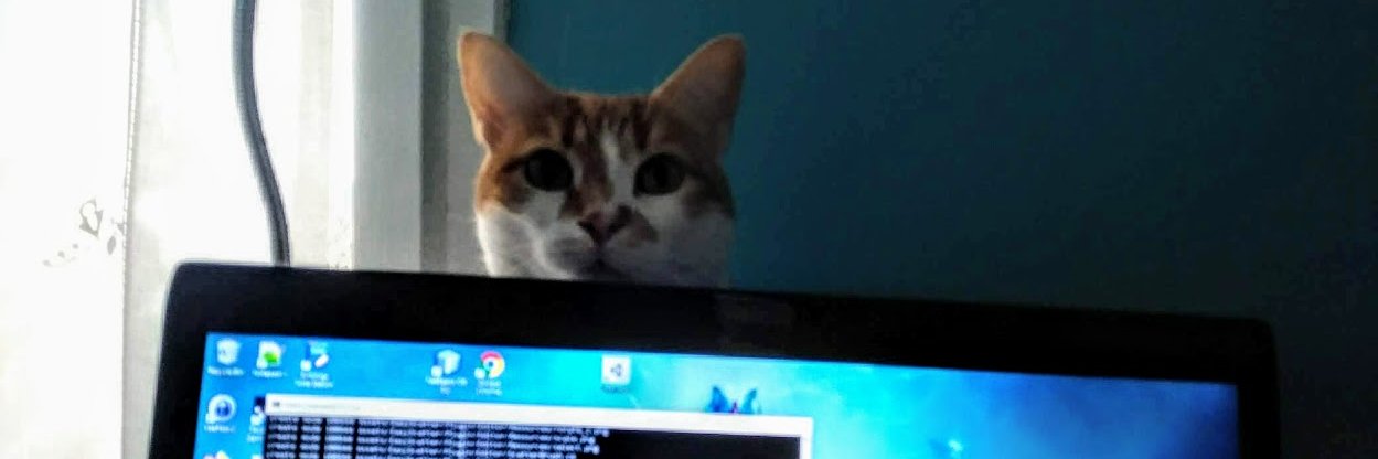 fazhom's profile banner image