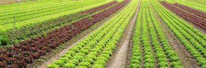JDA,MBNR banner