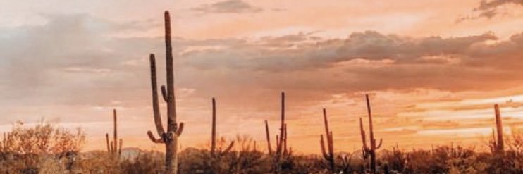 mperri13's profile banner image