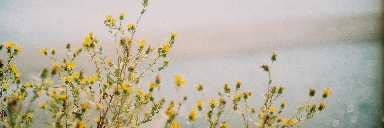 wndydarling's profile banner image