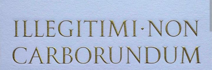 She. M.'s banner
