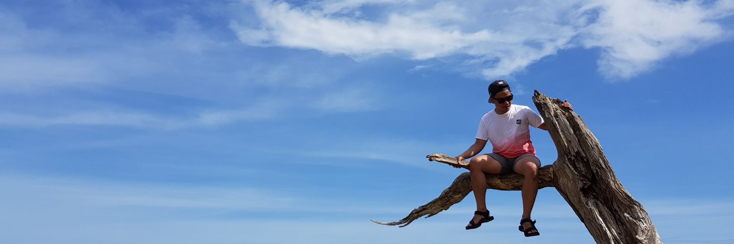 ariowepe's profile banner image