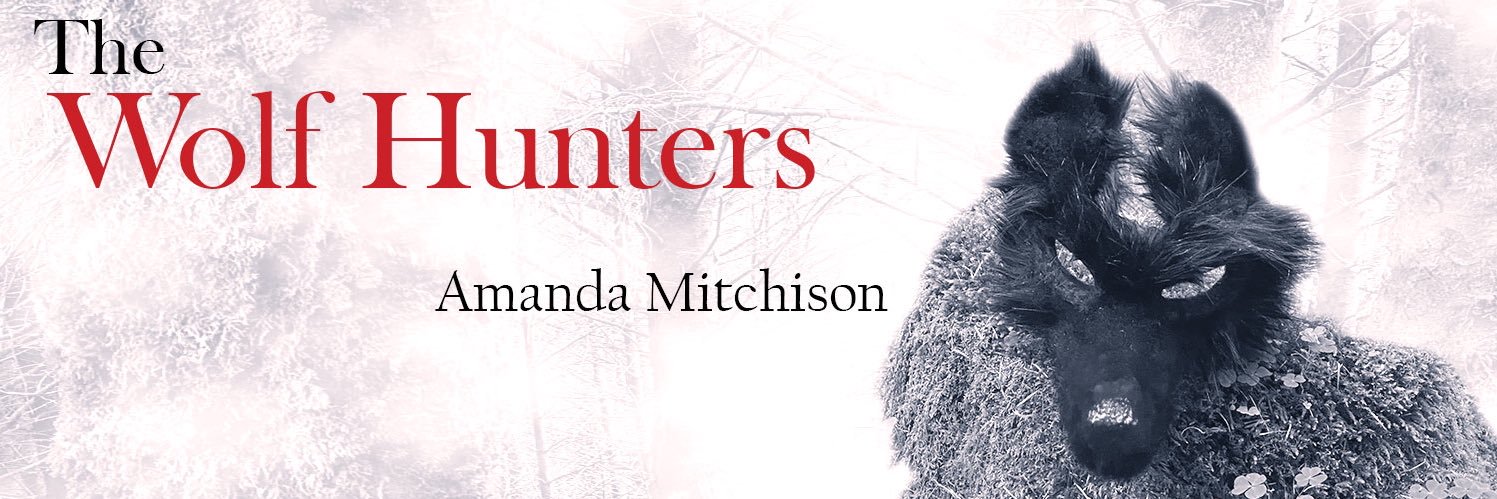amandamitchison's profile banner image