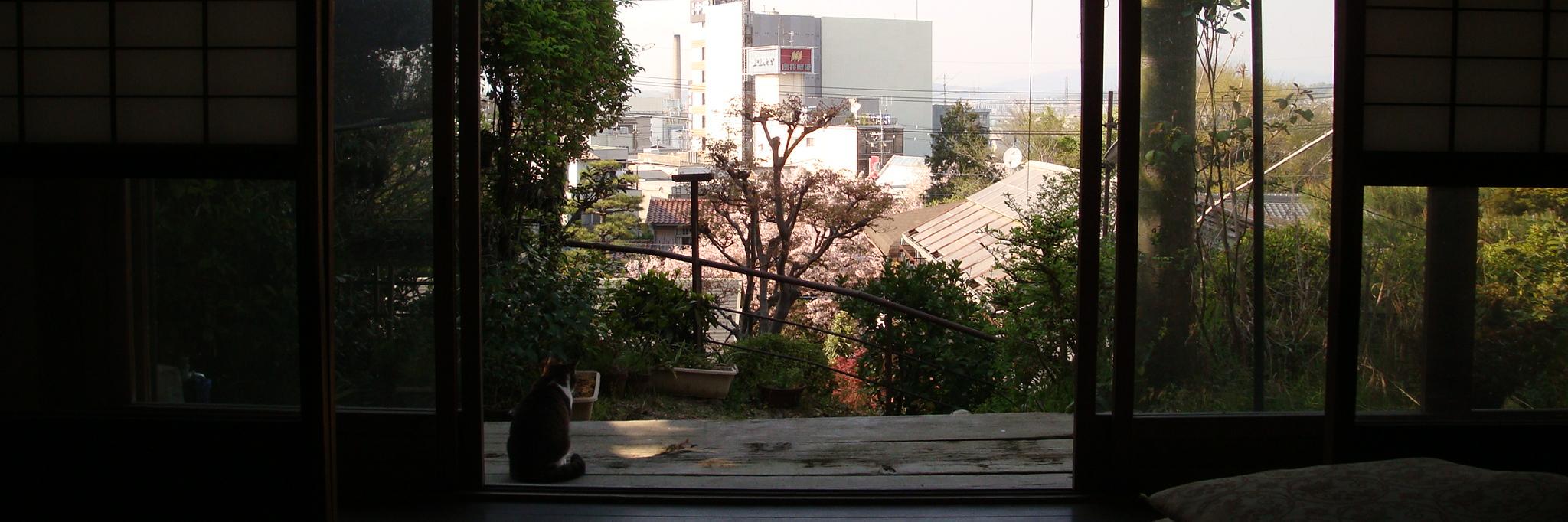 beco_ippei's profile banner image