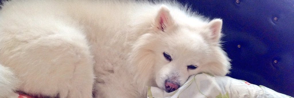MILKY banner