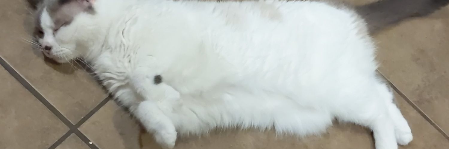 sexywiddlebear's profile banner image
