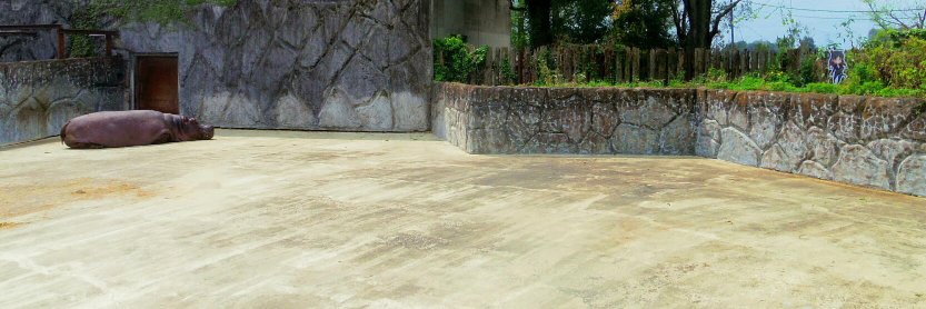 タニグチリウイチ：2023年も引き続き週何日か三鷹通い banner