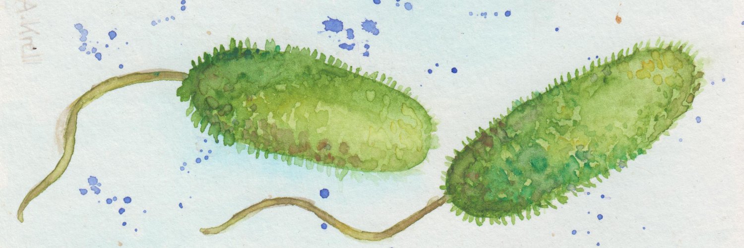 Krell Laboratory banner