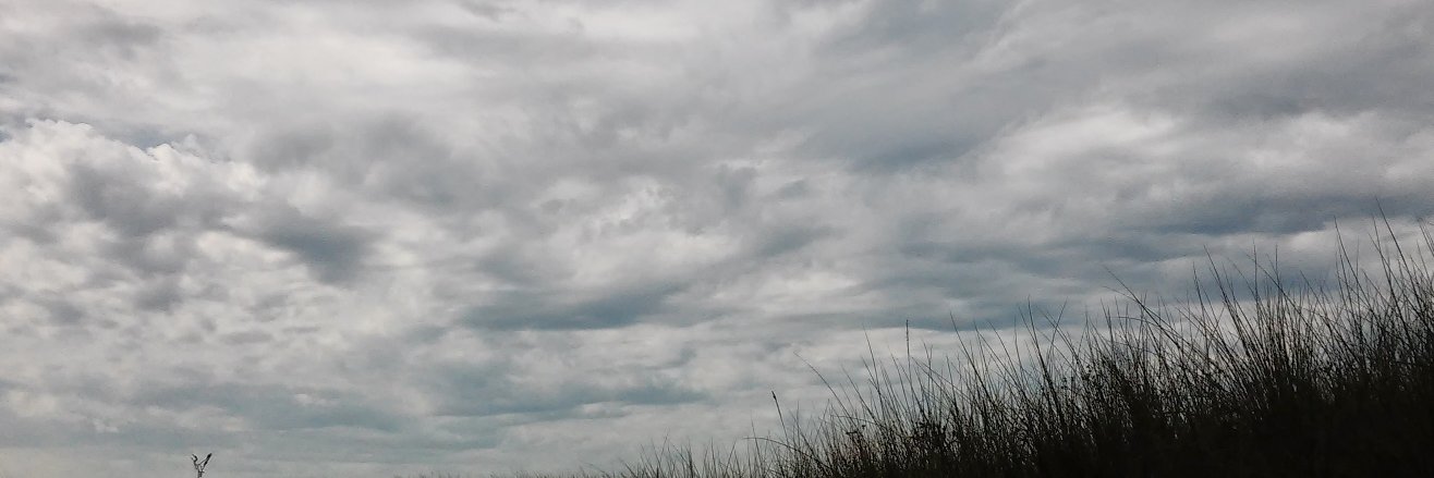 suitaloon's profile banner image