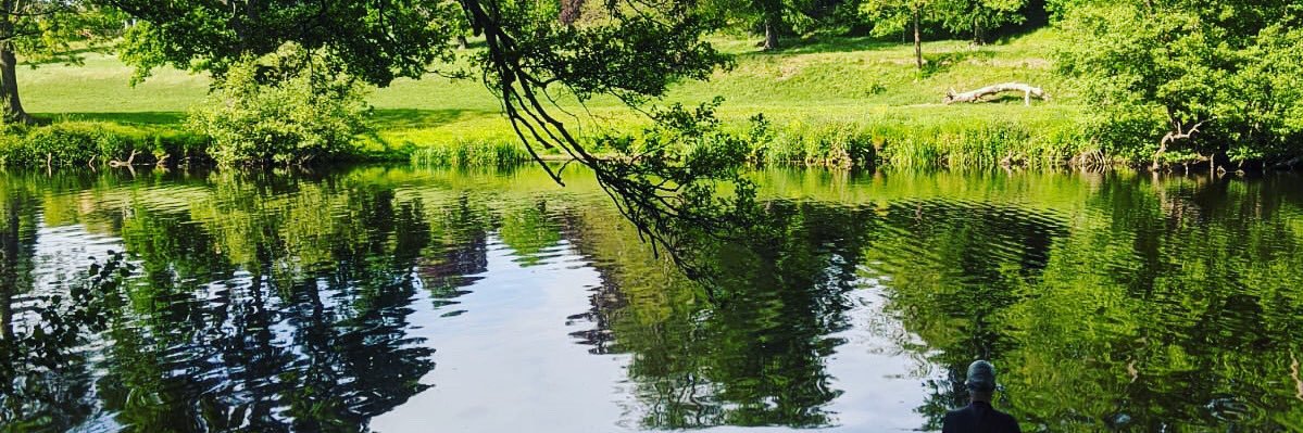 Helen Buglass banner