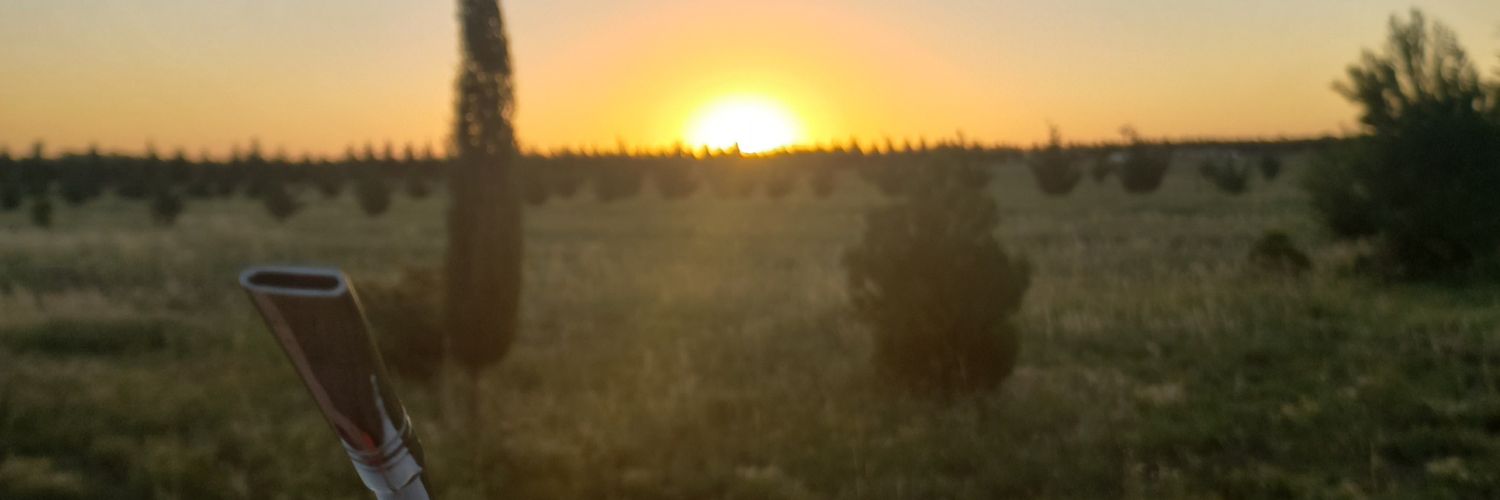 MartiGastaldi's profile banner image