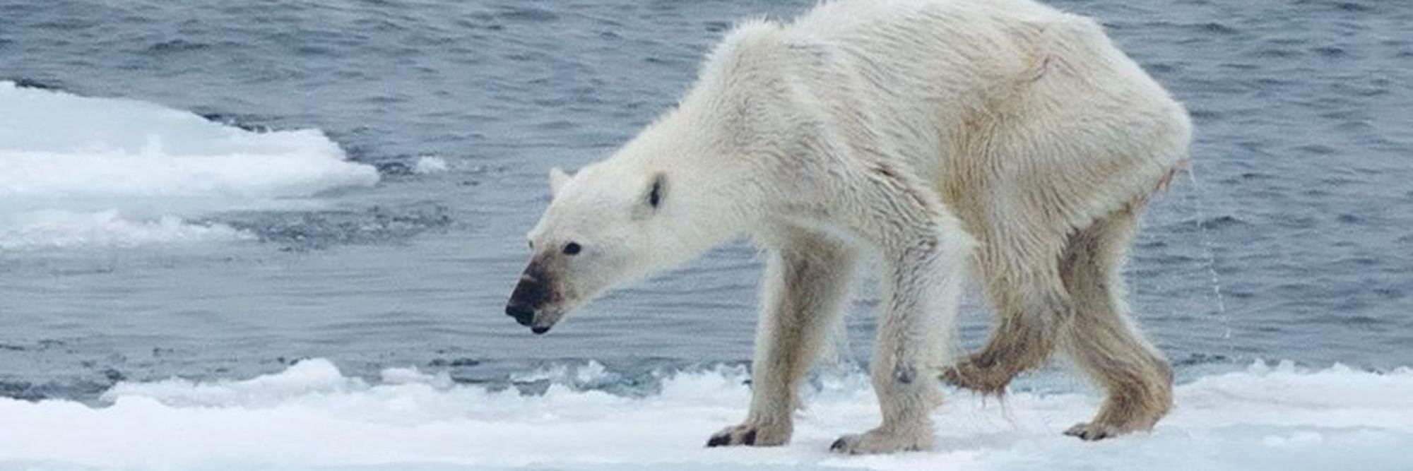saveourworld01's profile banner image