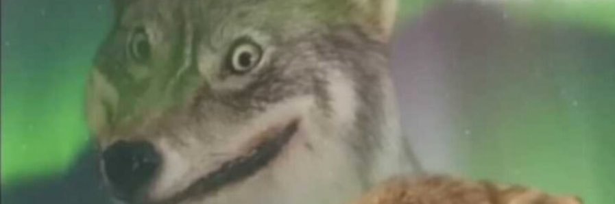SlashDotBang's profile banner image
