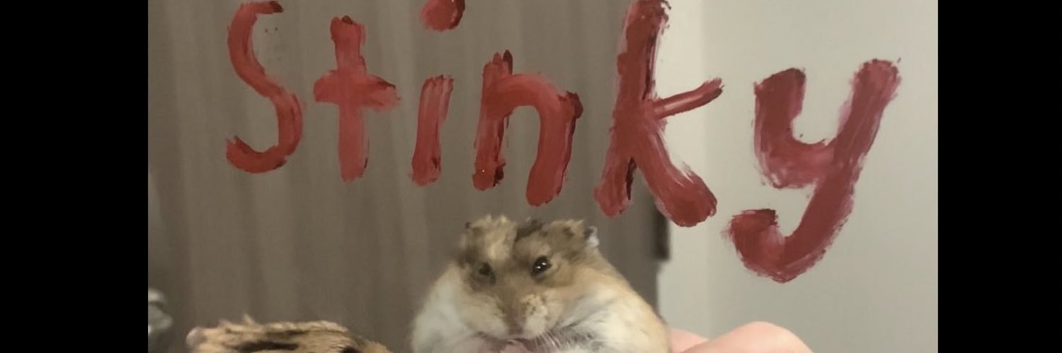 lilchimmi's profile banner image