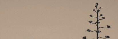 Charlotte banner