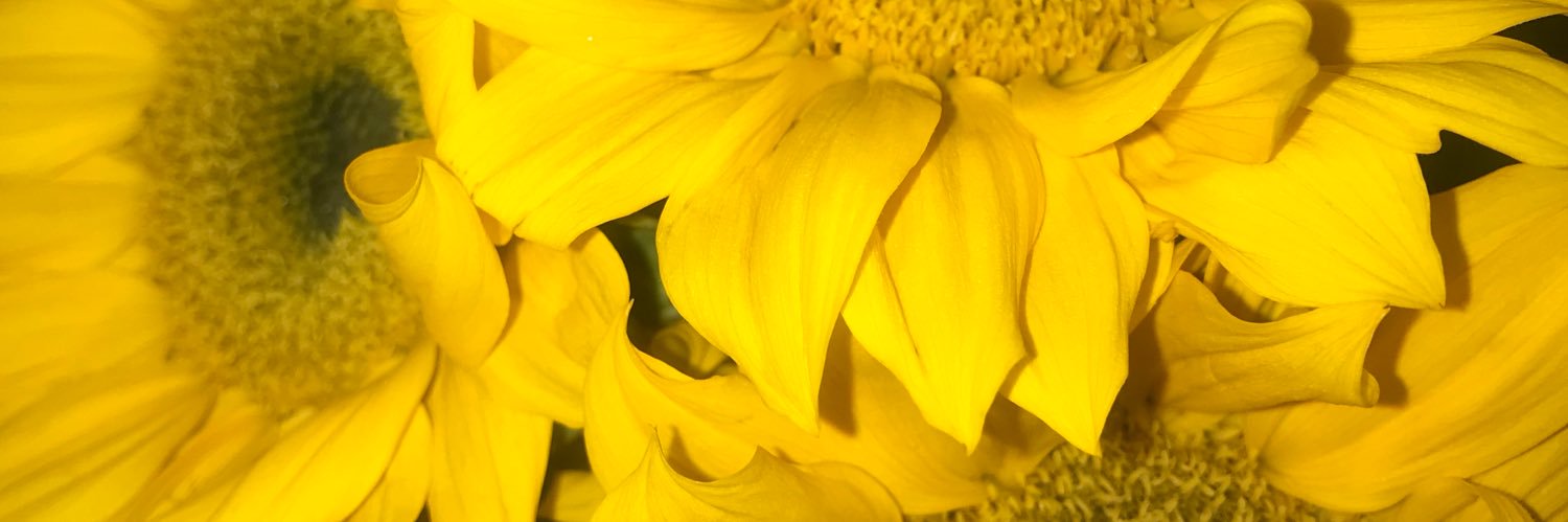 JChikato's profile banner image