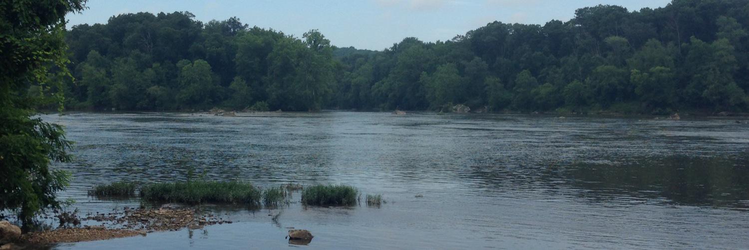 Hannah DeVido banner