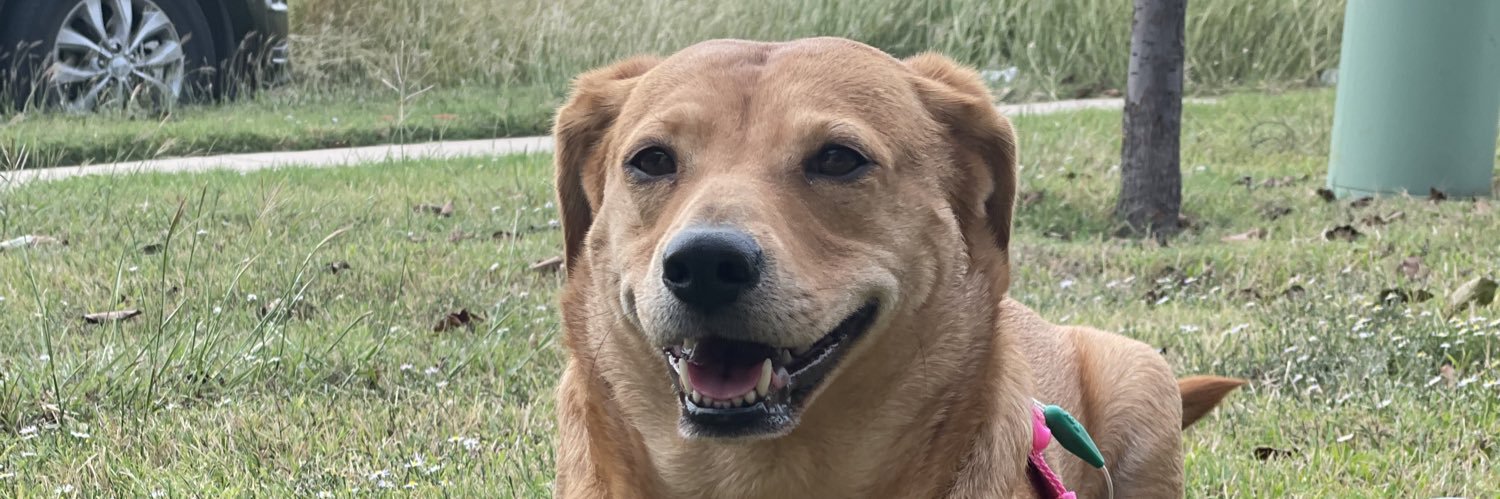 BayleeSteubing_'s profile banner image
