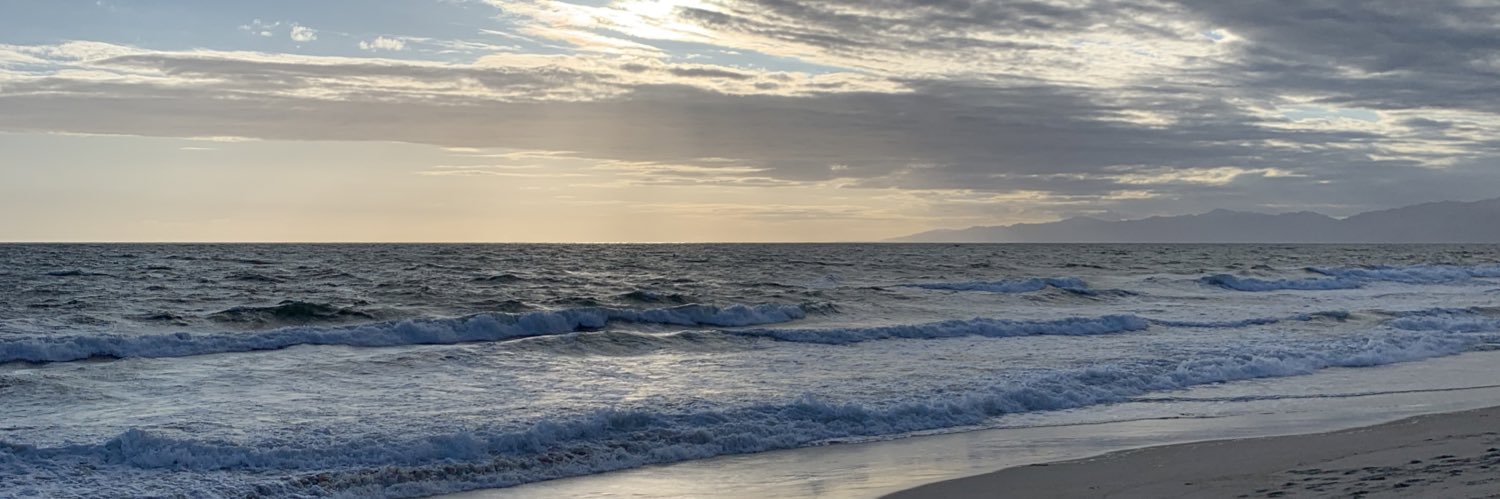lilybruin's profile banner image