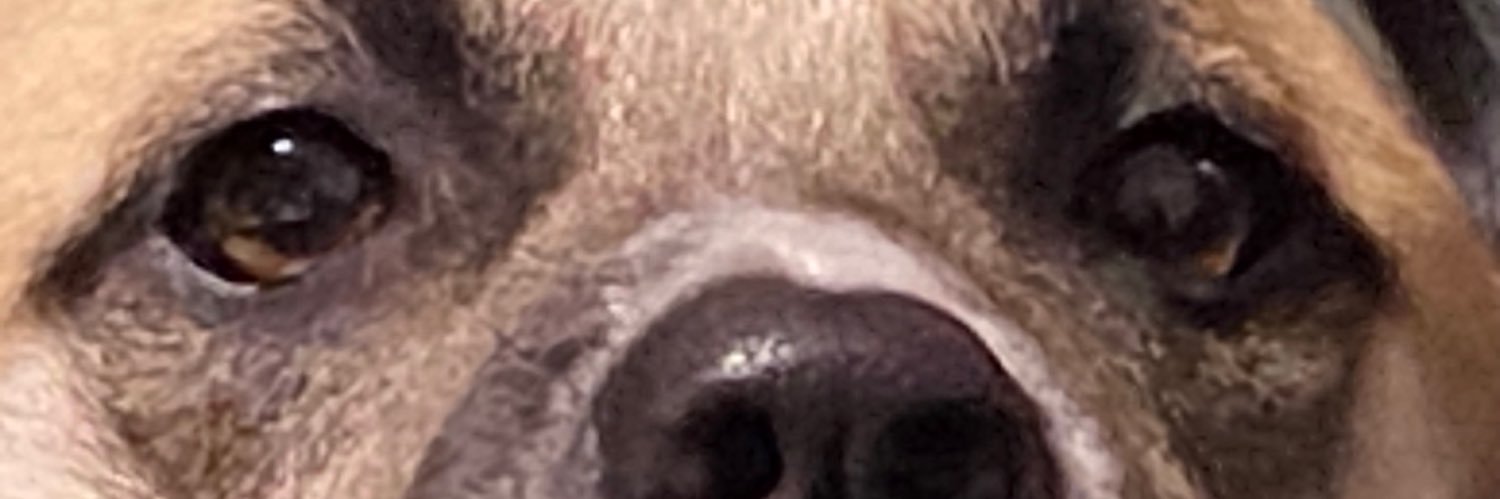 ChinnyChinChin - NoToNATO banner