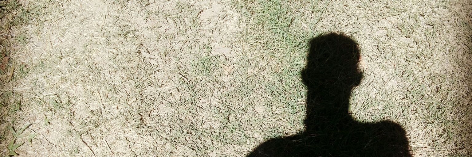 nanocerrudo's profile banner image