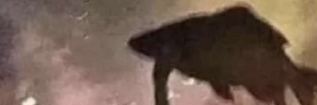 empee_03's profile banner image