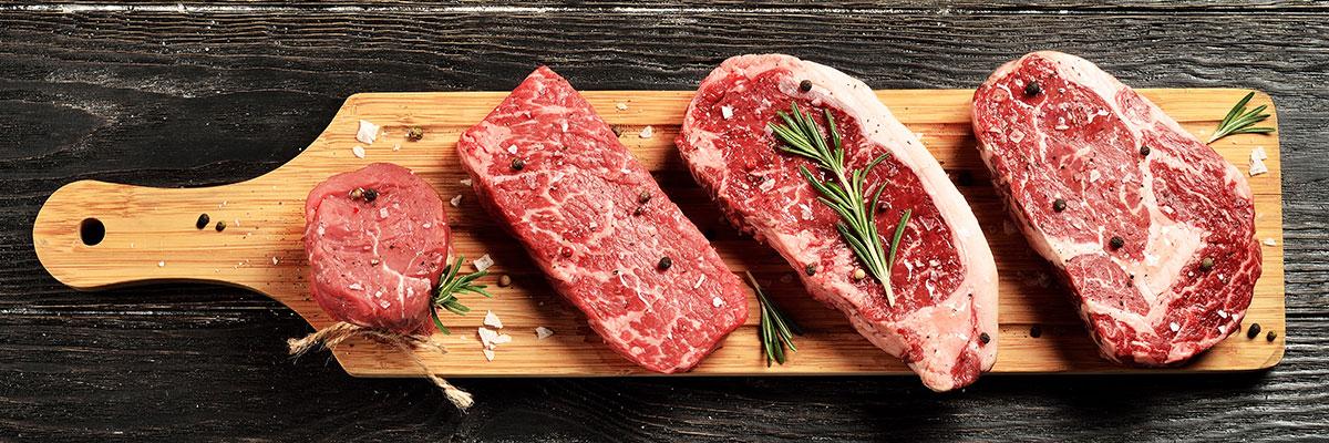 Ric Carnivore banner