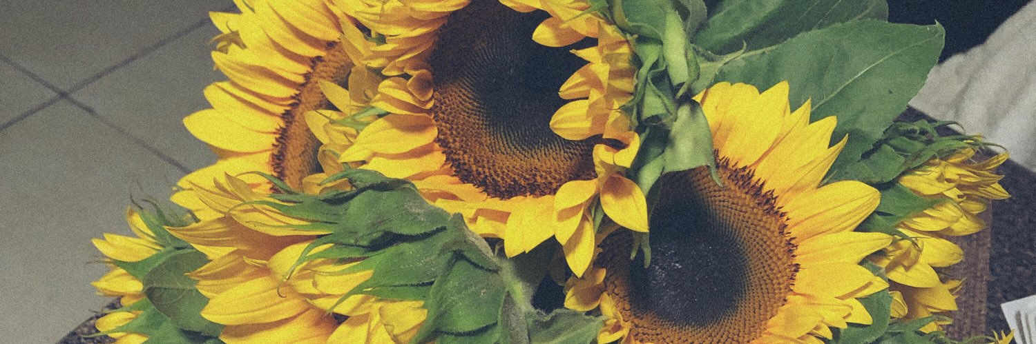 CeliaAbarca's profile banner image