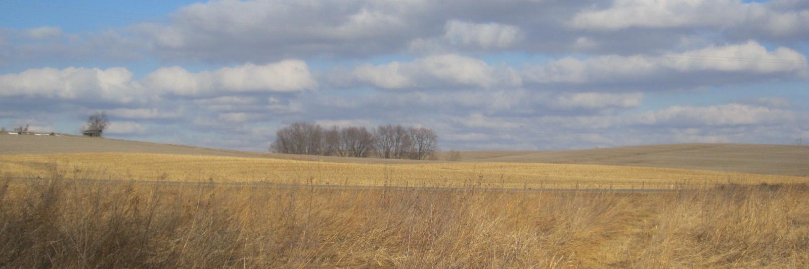 iowayow's profile banner image