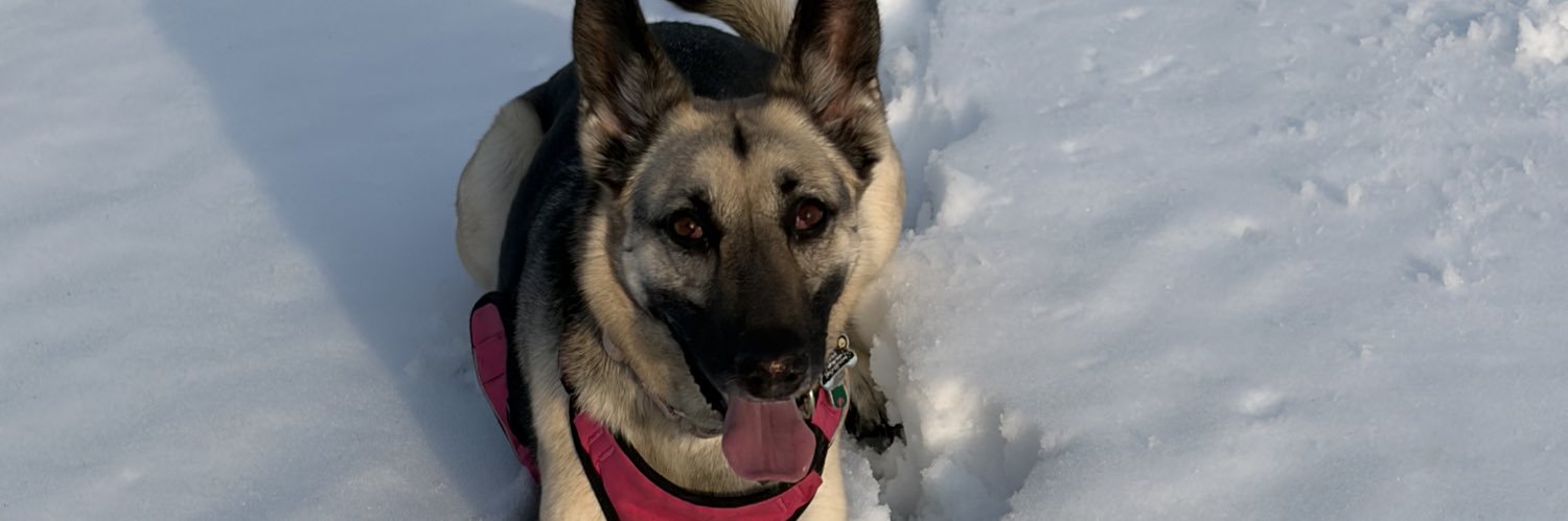 notbethbarron's profile banner image
