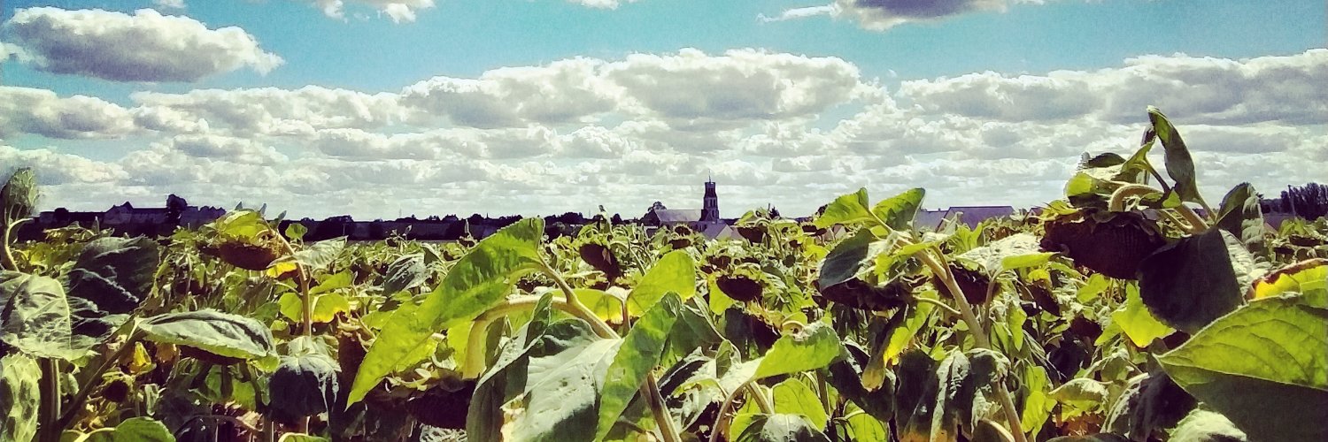 benoit CALMES banner