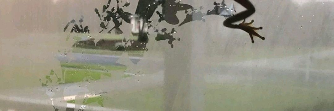 marcoadelvalle's profile banner image