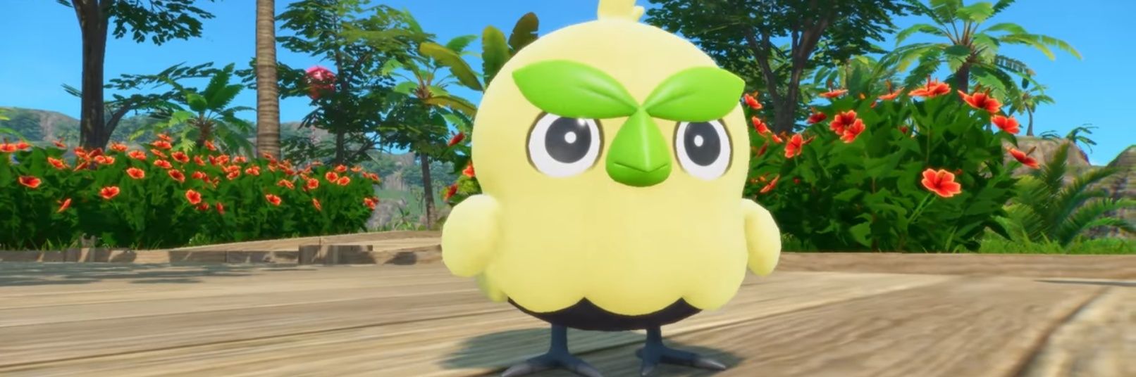 joeporreta's profile banner image