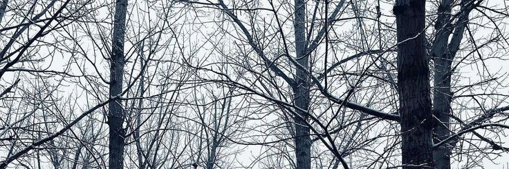 浅田, Hase. banner