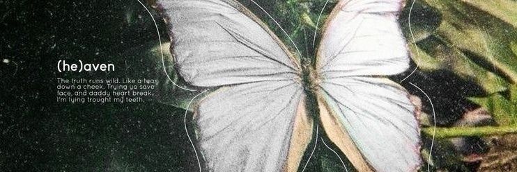 Nichi. banner