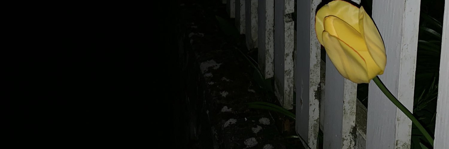 Hunterbrooke_'s profile banner image