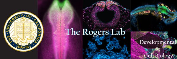 RogersLabUCD Profile Banner